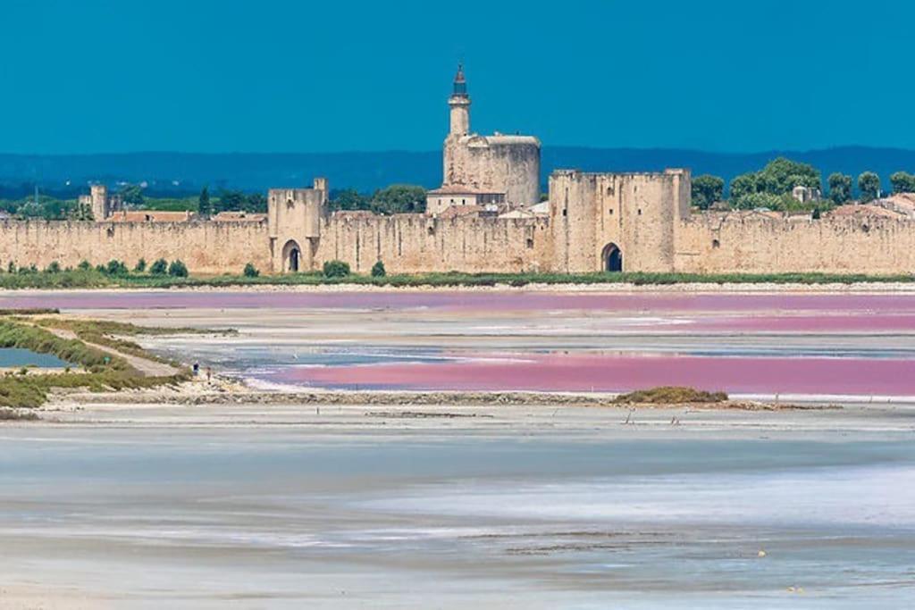 Maison A 800M Des Remparts Aigues-Mortes Ngoại thất bức ảnh